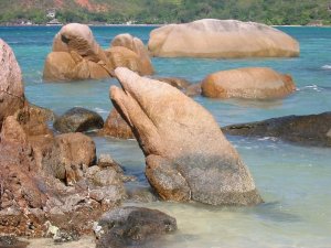 2006-10-25-08-51-11-dauphin-anse-boudin-ile-de-pralin--20d77-3e2fb