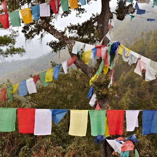 thimphou_bhoutan-dc581