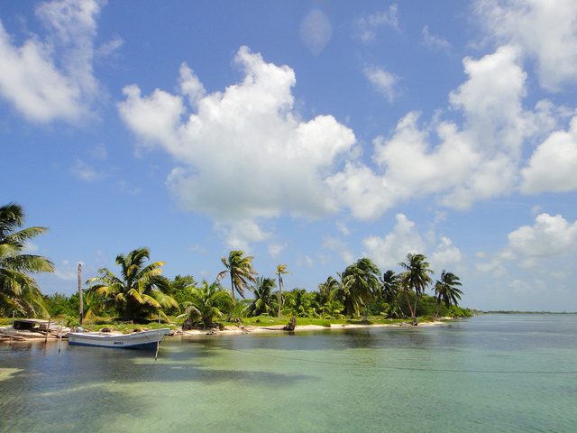 Ambergris Caye Opodo