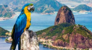 Rio – Les choses à faire ou à ne pas faire