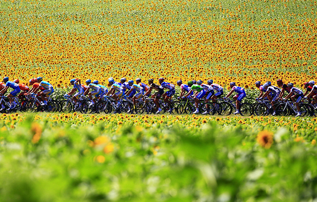 tour de france