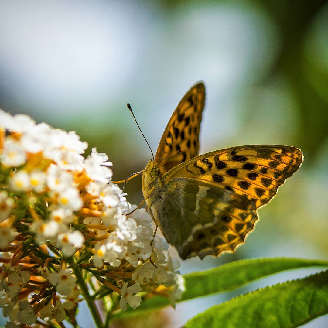 Photo de s.p.hoto sur Instagram