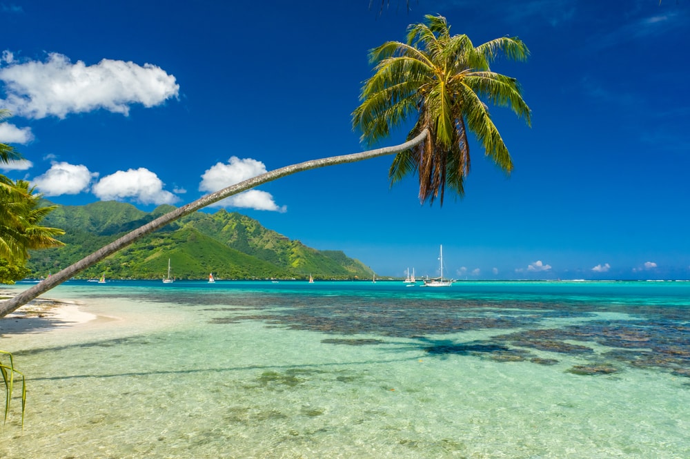 plage tahiti - blog Opodo