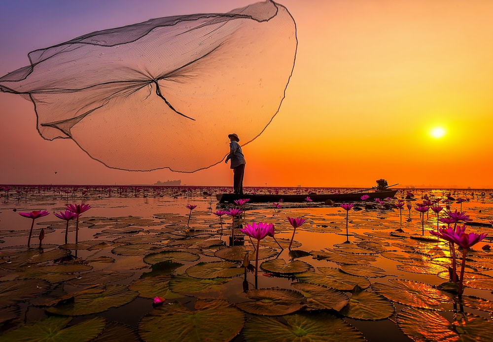 thailande lac lotus - blog Opodo