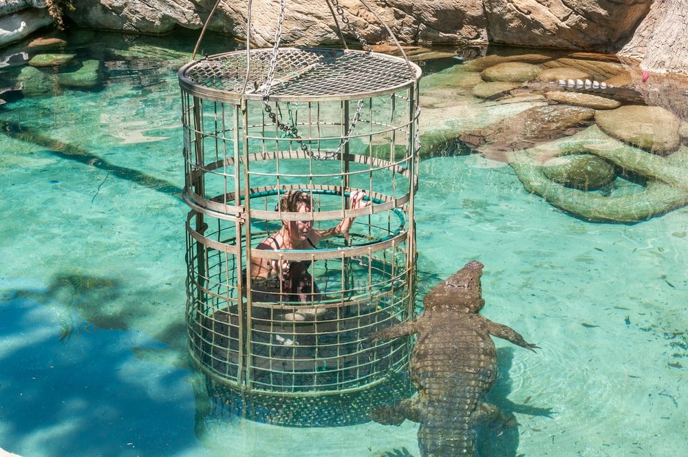 Crocodile cage Opodo