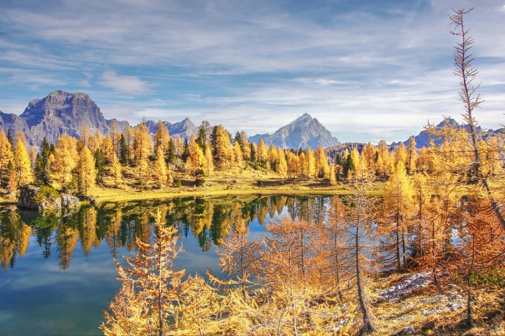 lac federa - blog Opodo