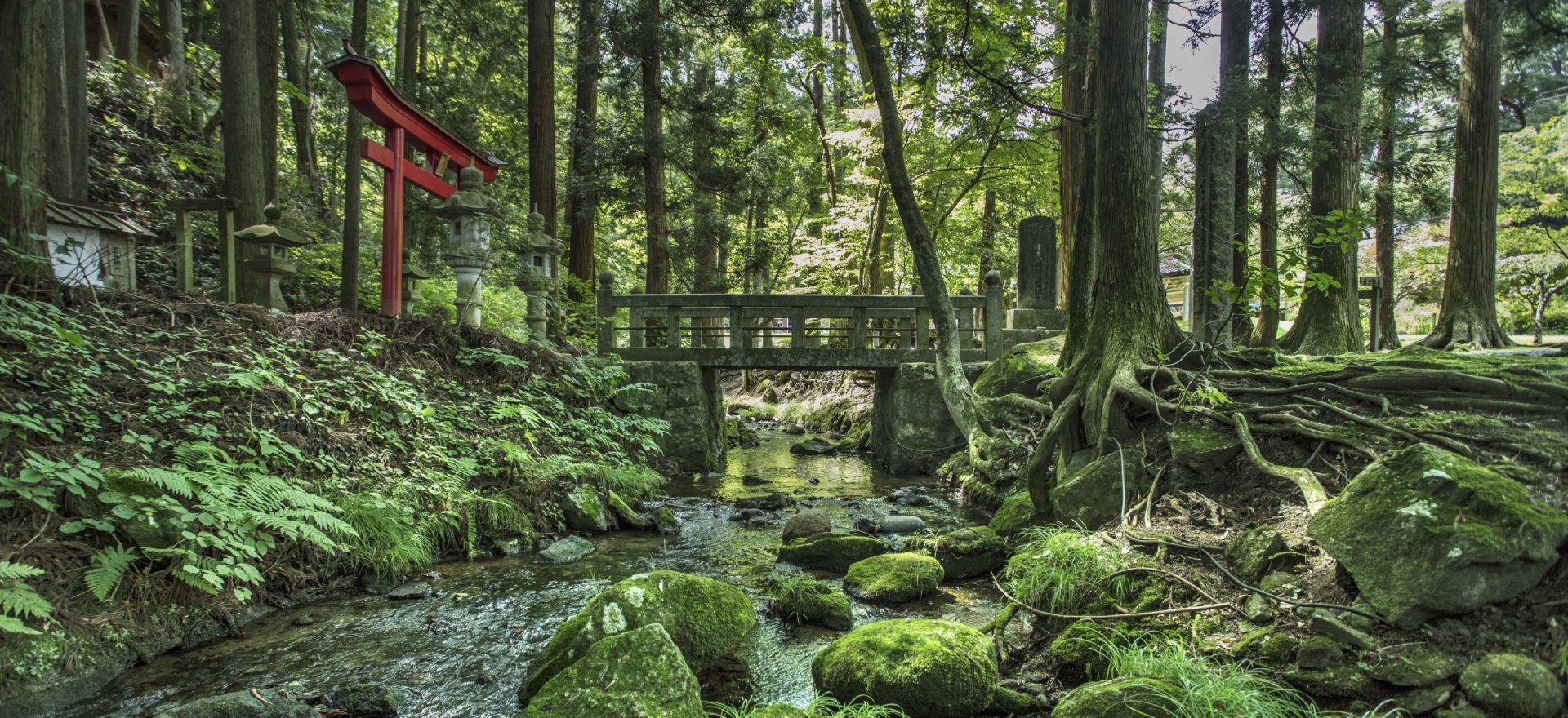 temple forêt hachinohe japon