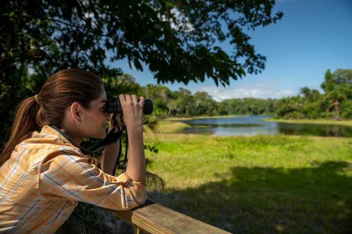 Une femme regardant dans des jumelles au parc national de Soberania