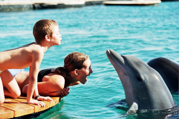 enfants jouant avec des dauphins
