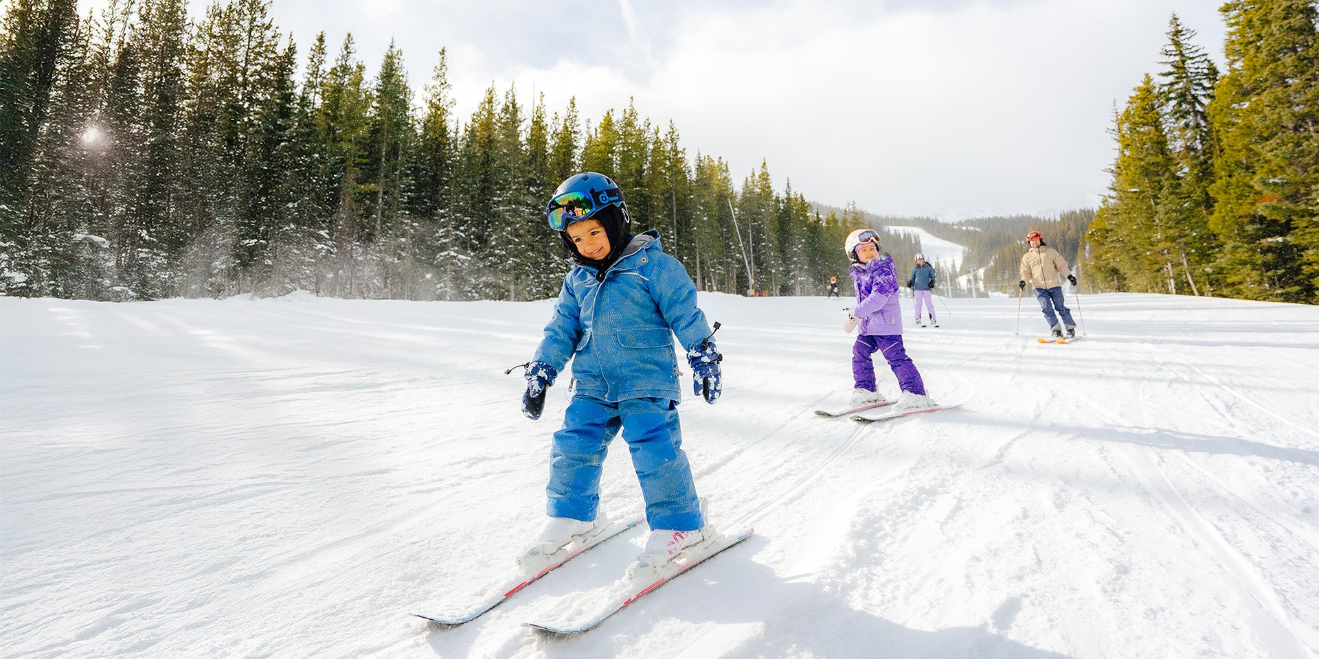 Rencontrer des animaux sauvages