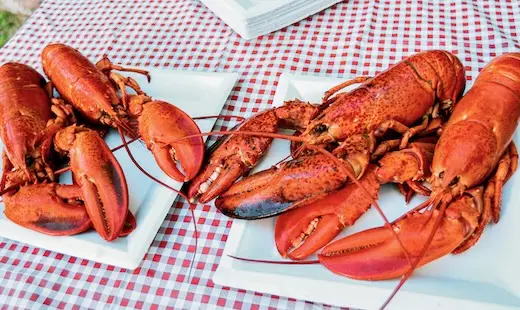 Les marchés de la région