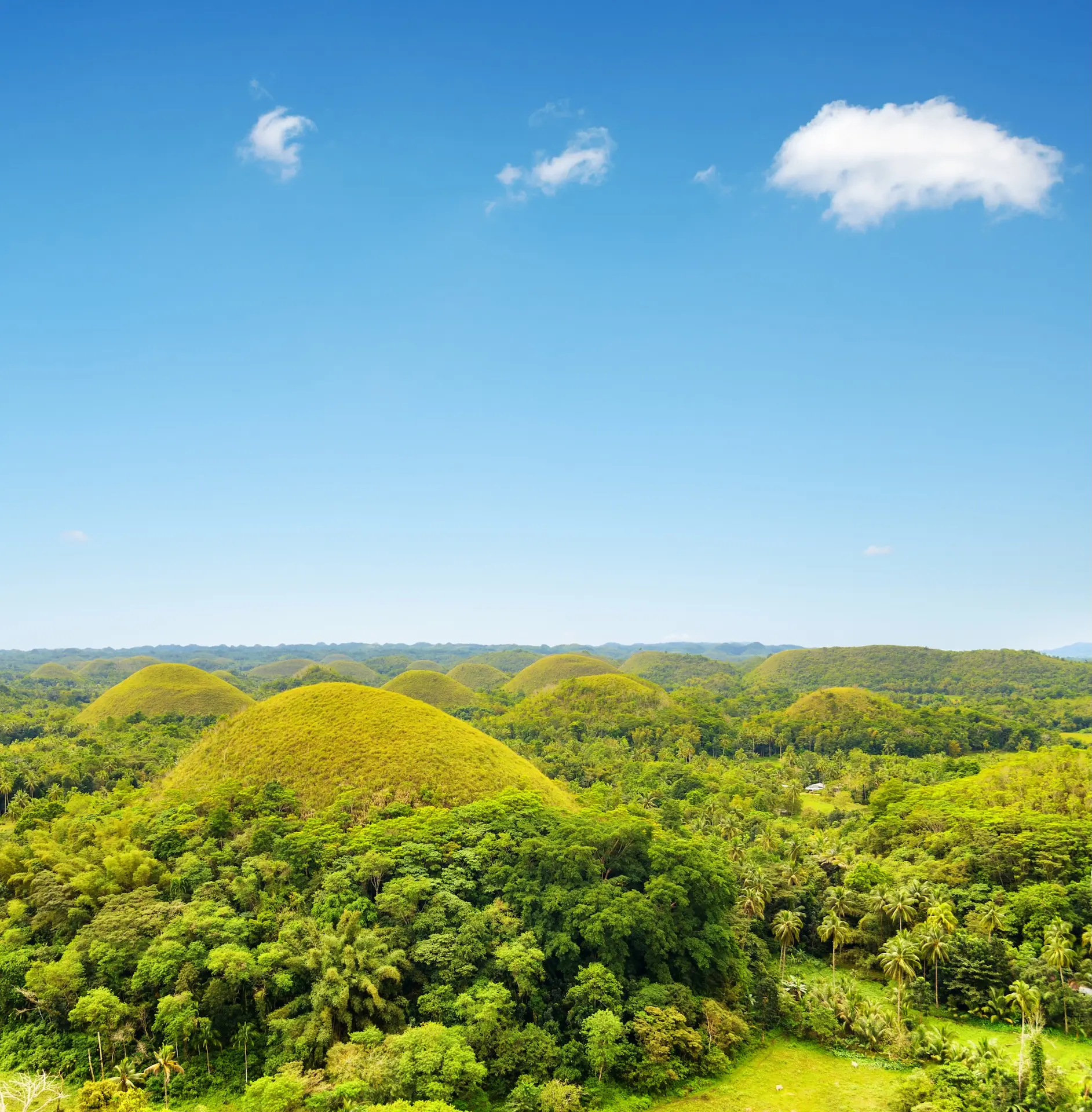 Bohol : Nature et culture à l’état pur