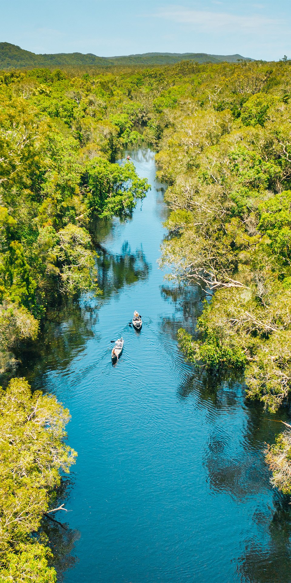 Canoë dans les Everglades de Noosa : observation d'oiseaux et marchés locaux