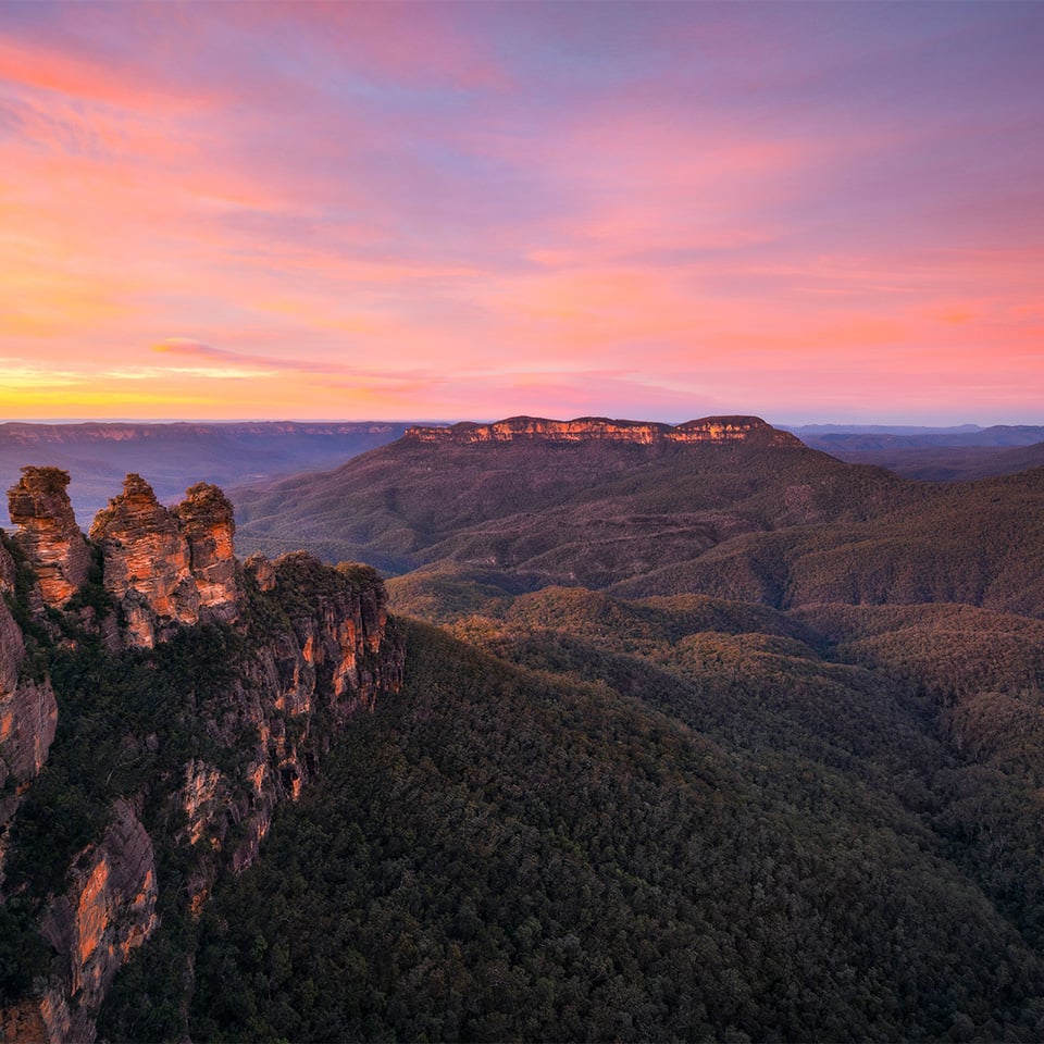 Découvrez nos offres